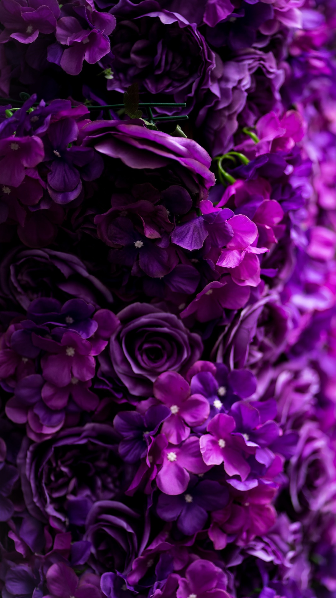 Purple Flower Wallpapers Top 35 Best