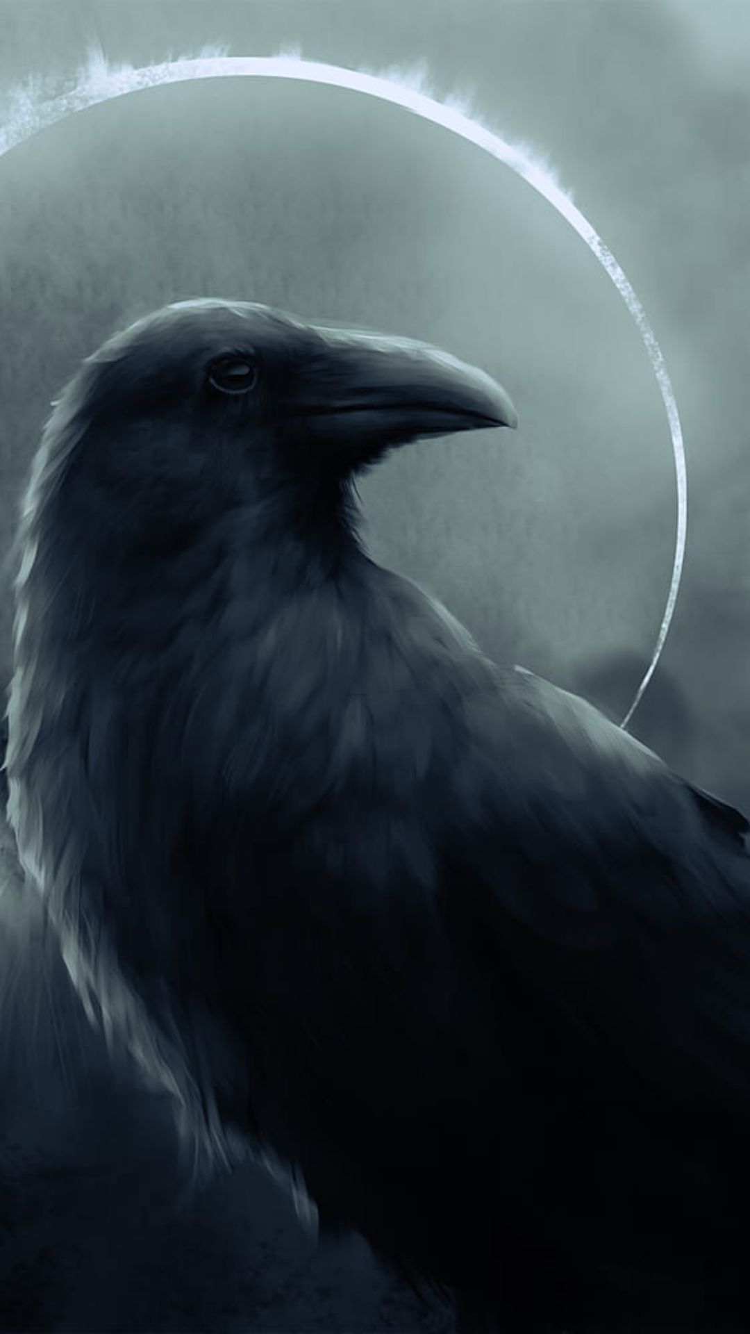 Raven Android Wallpaper