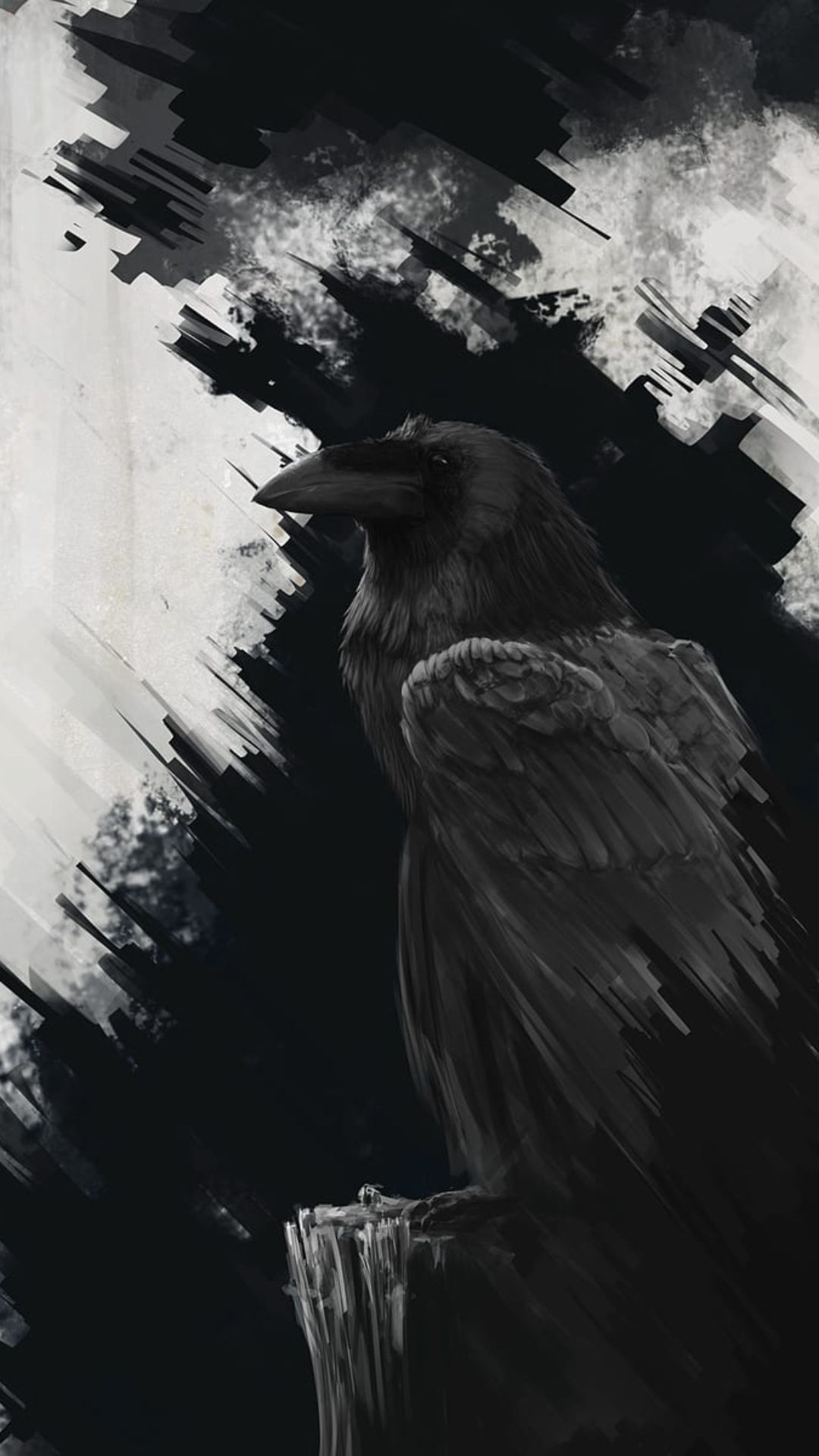 Raven Photos