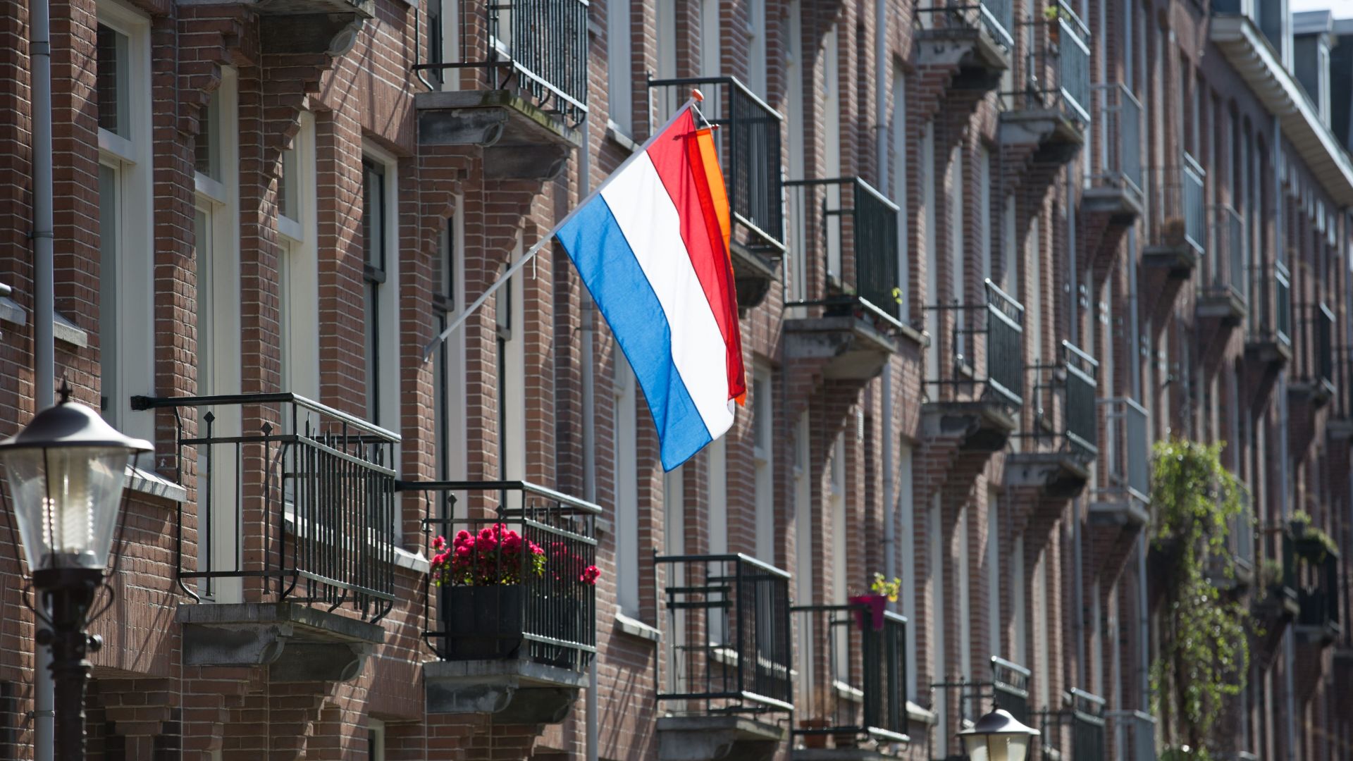 Wallpaper Netherlands Flag