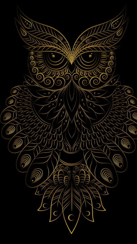 Owl Wallpaper 2022 HD