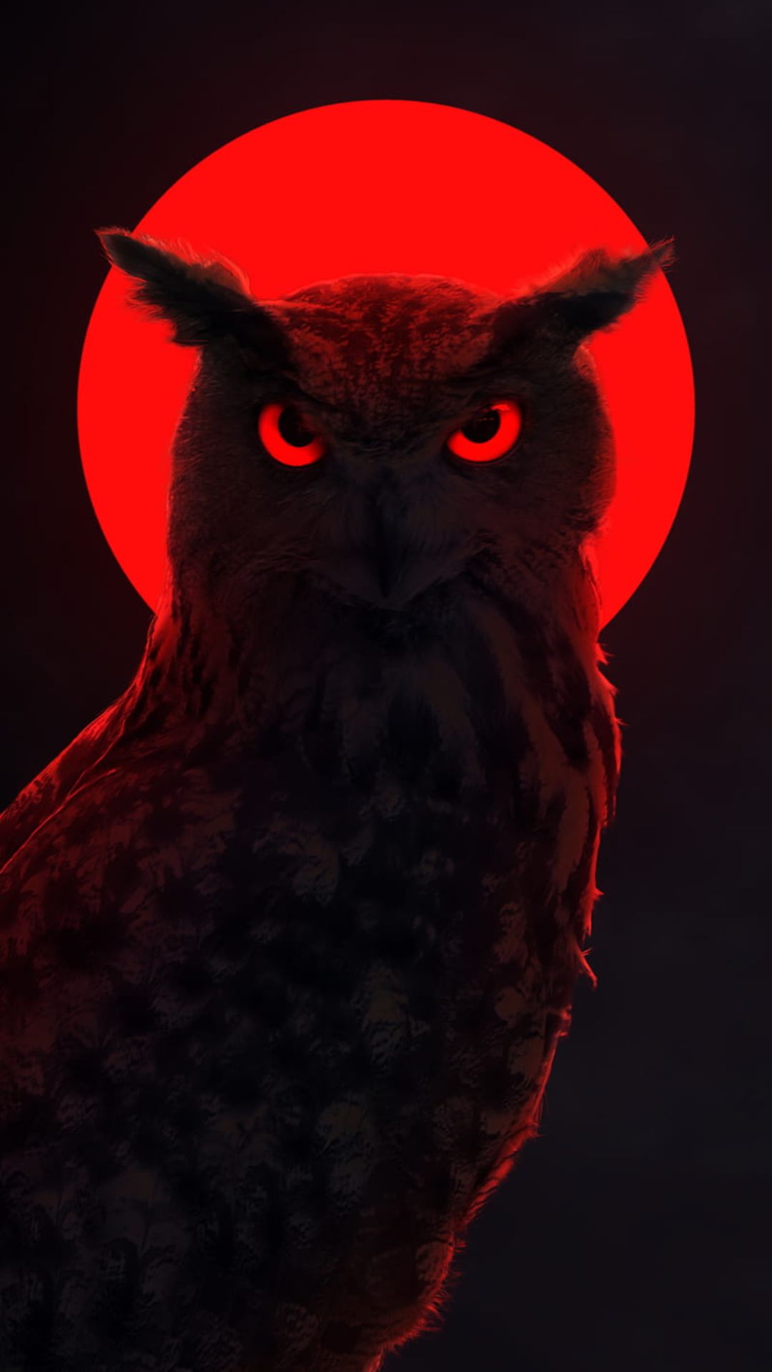 Owl iPhone Wallpaper HD