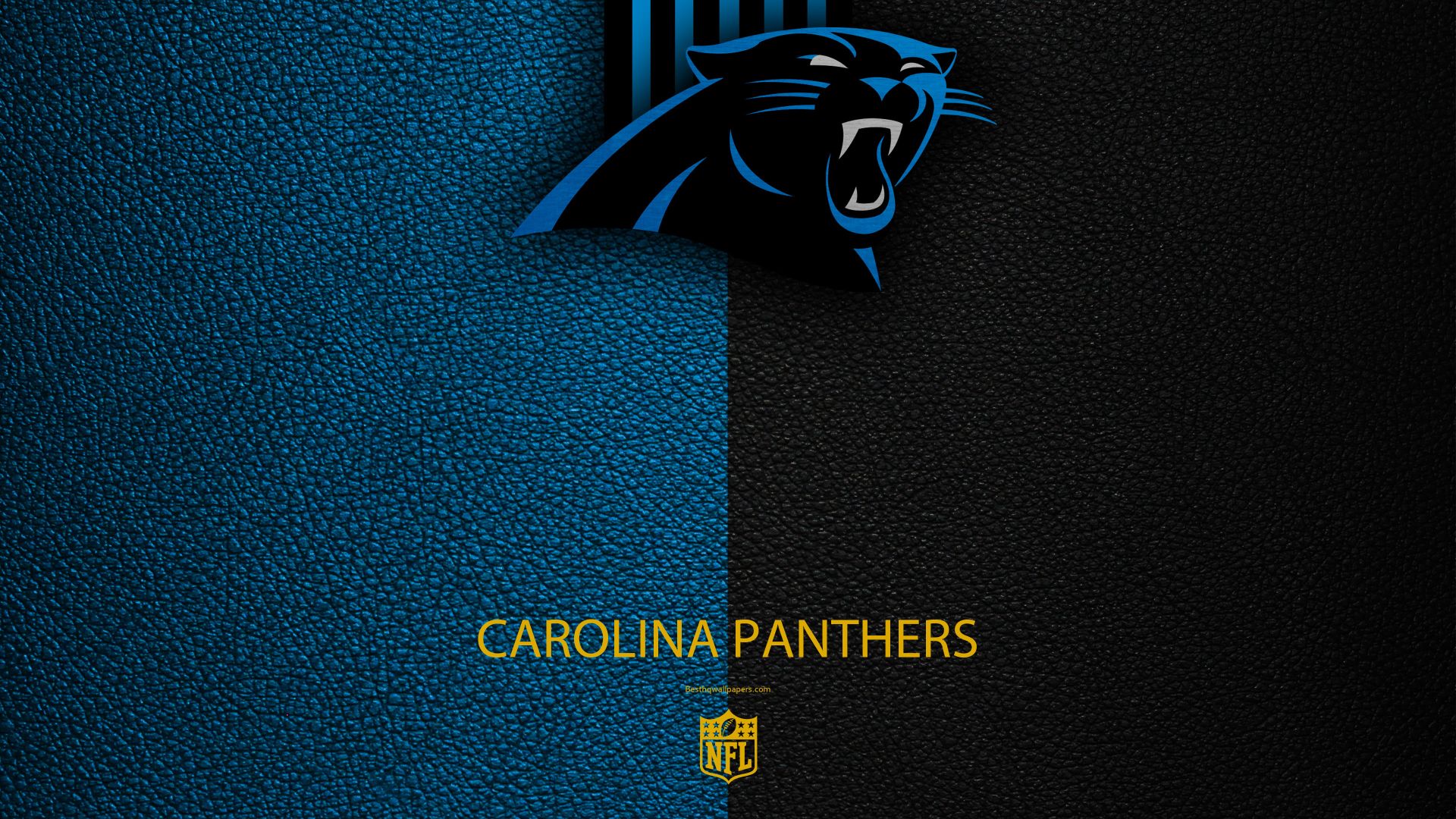 Carolina panthers laptop HD wallpapers