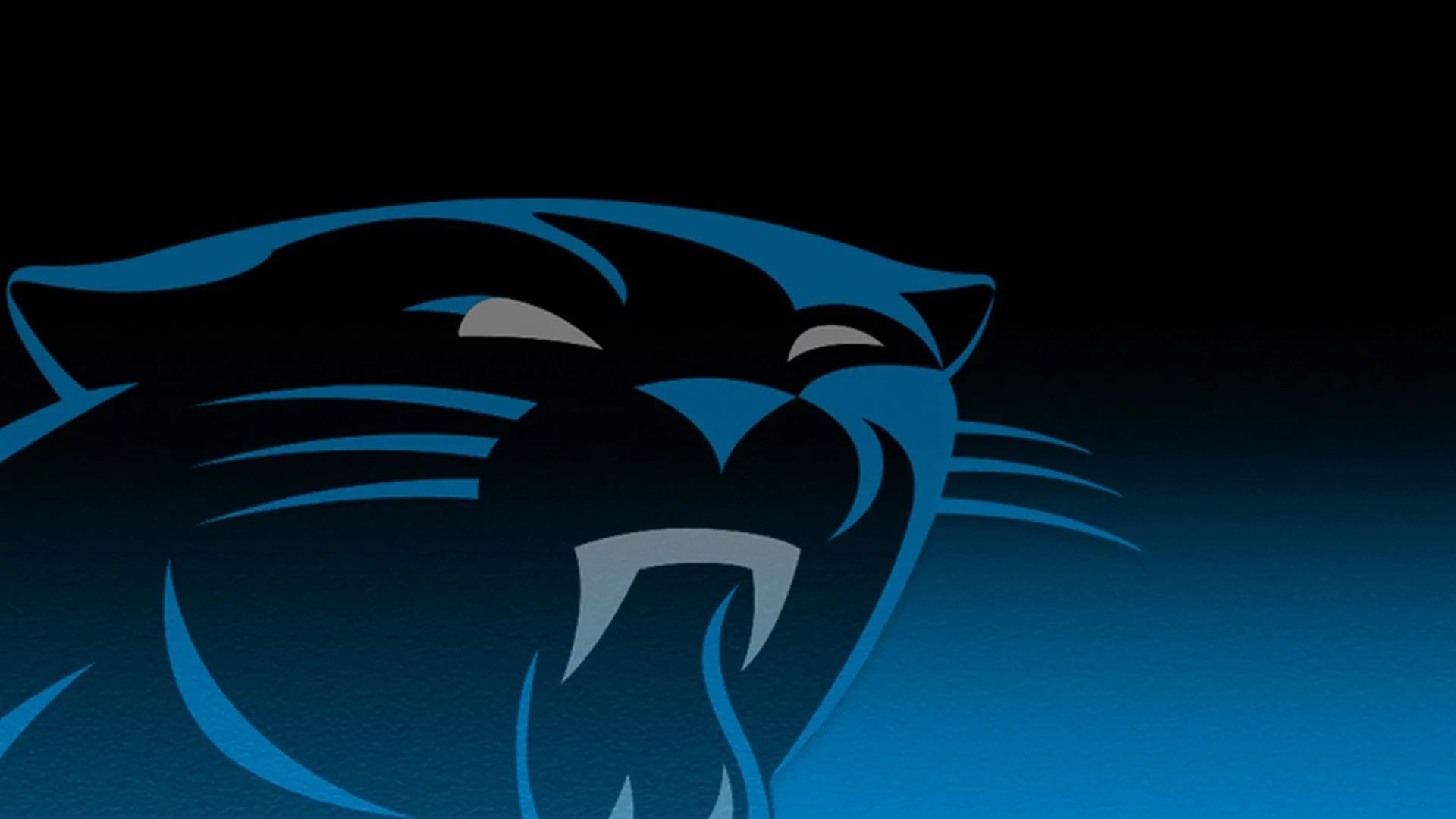 Carolina Panthers Logo Wallpapers - Top 28 Best Carolina Panthers