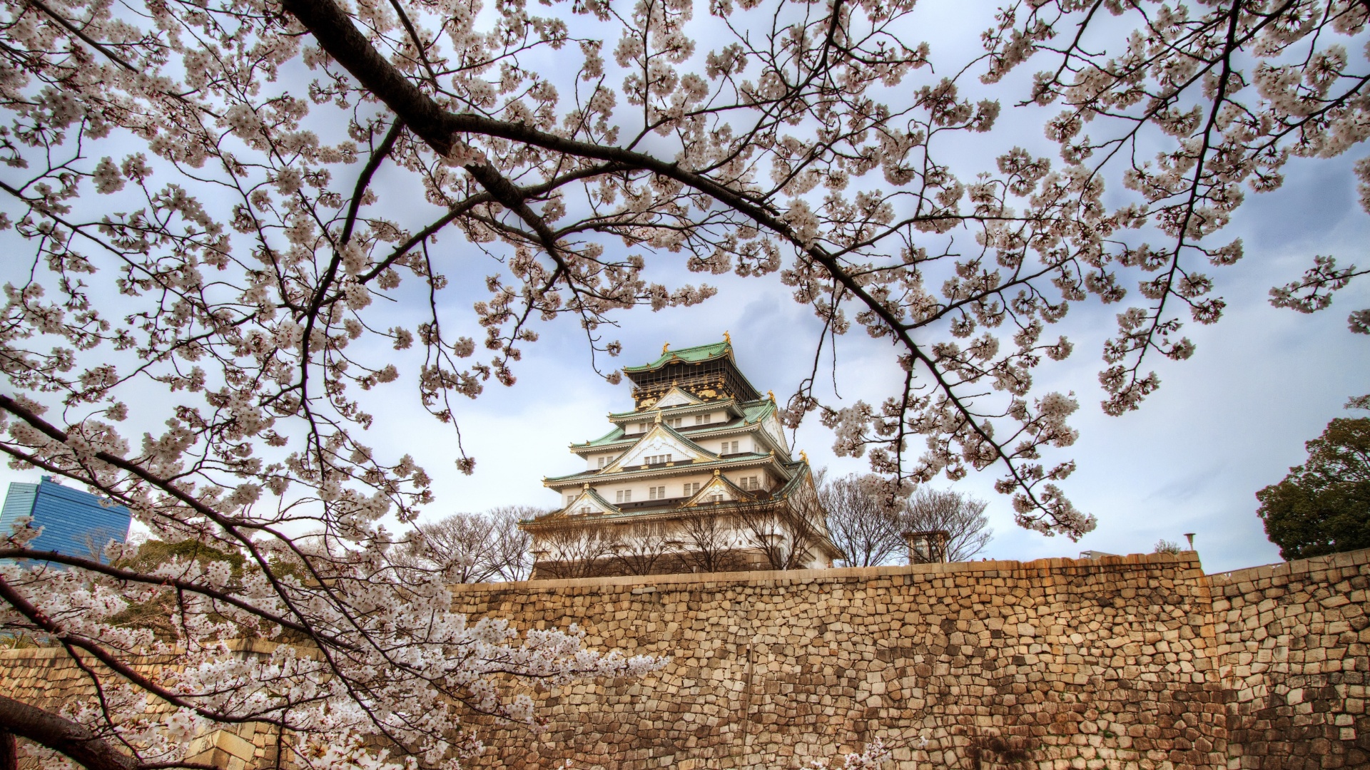 Osaka Castle Background Pictures