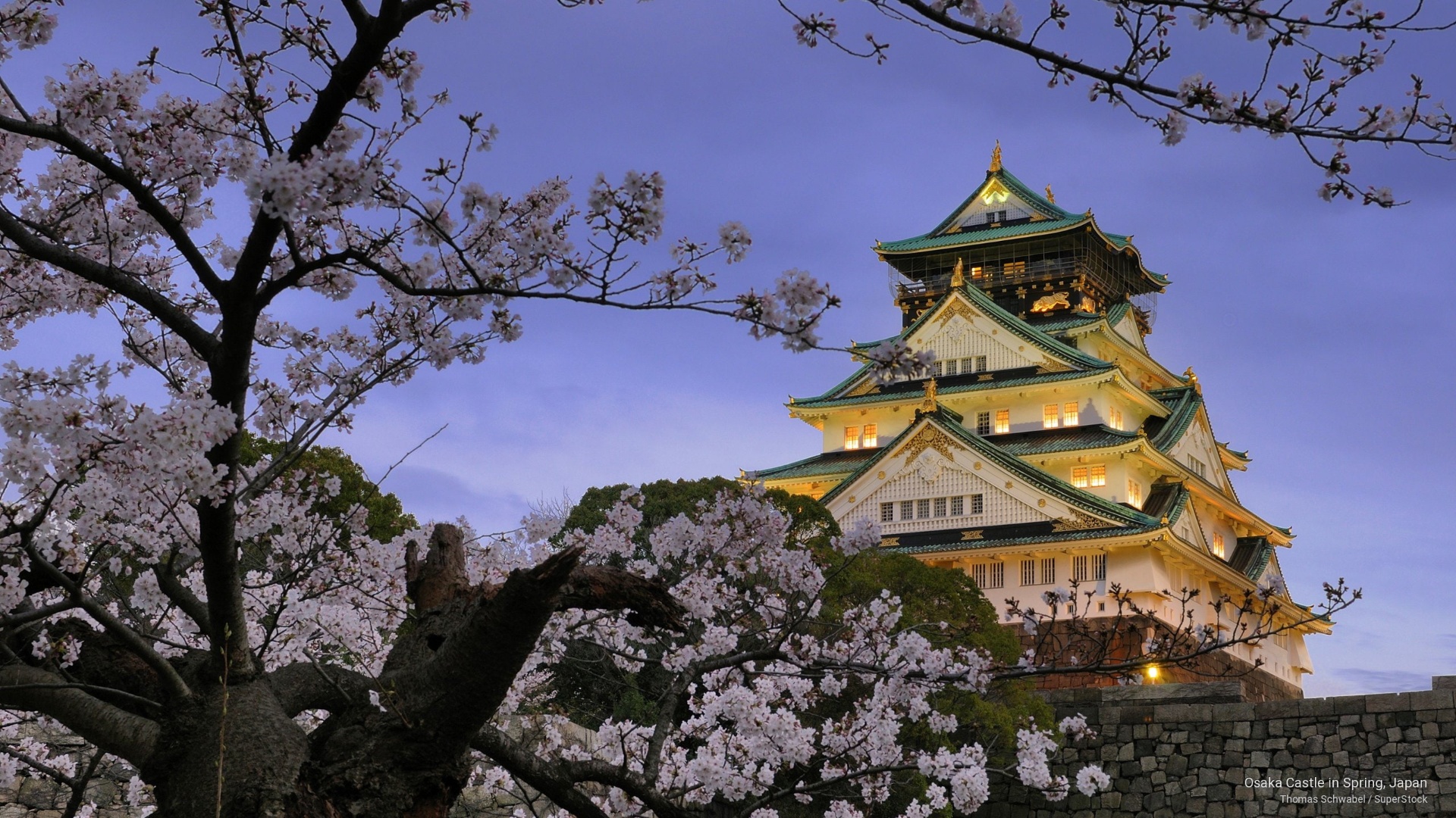 Osaka Castle Backgrounds PC