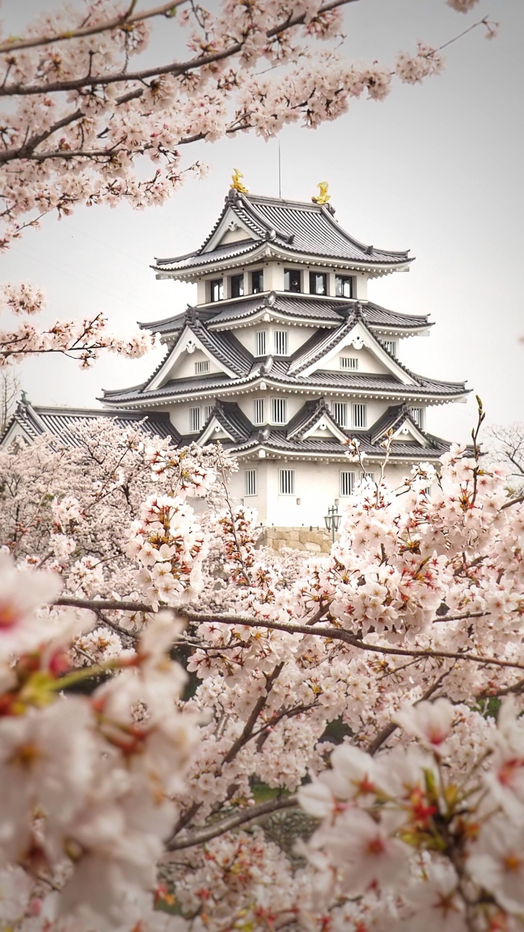 Osaka Castle Wallpaper HD