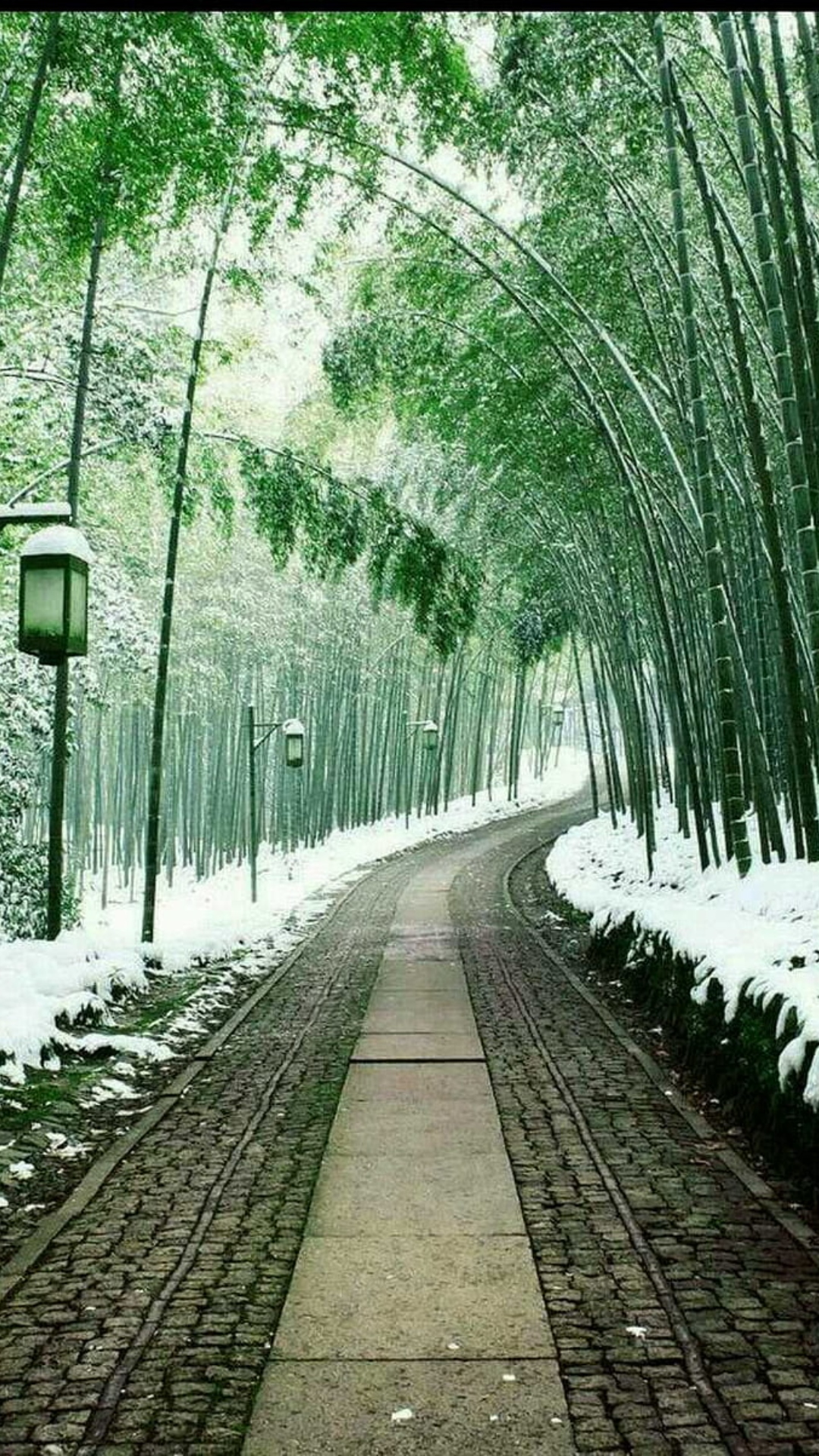 Arashiyama Bamboo Grove Wallpaper