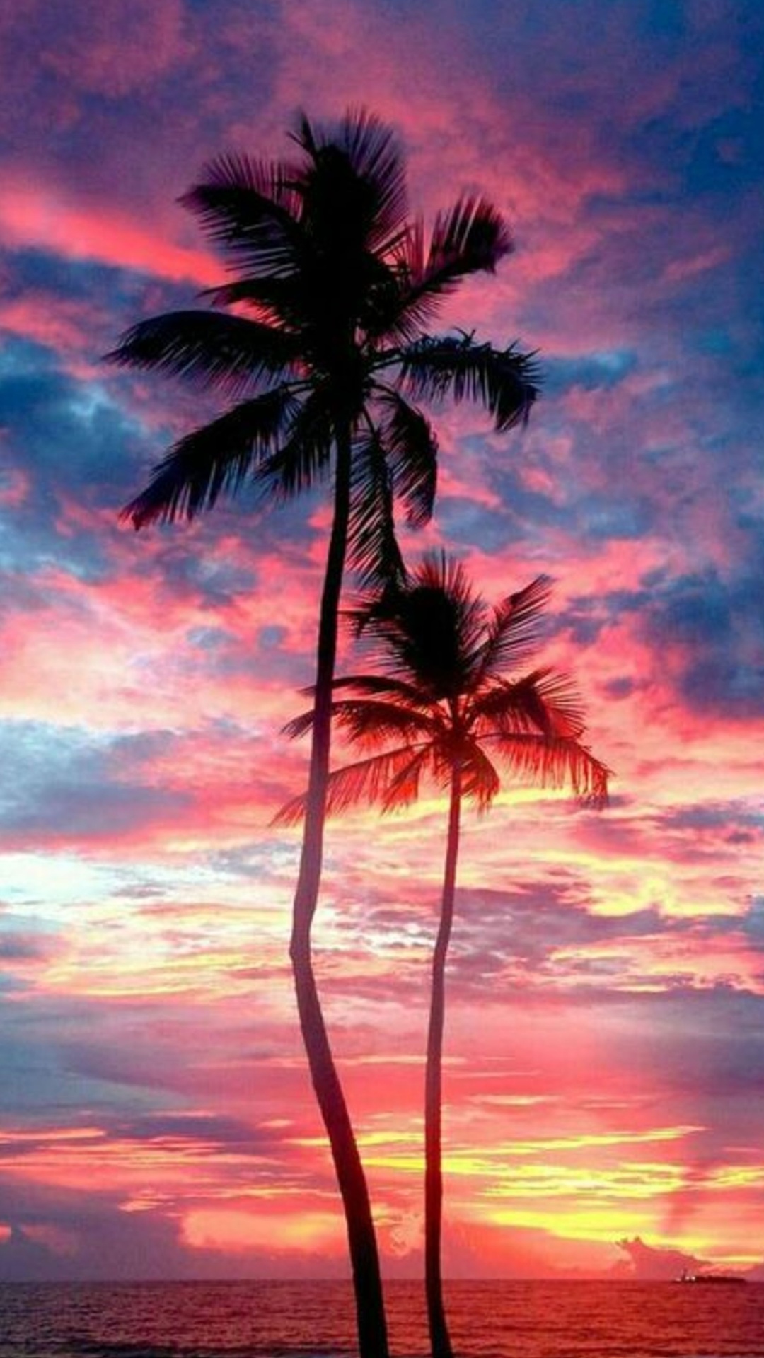 Palm Tree Sunset Wallpaper HD