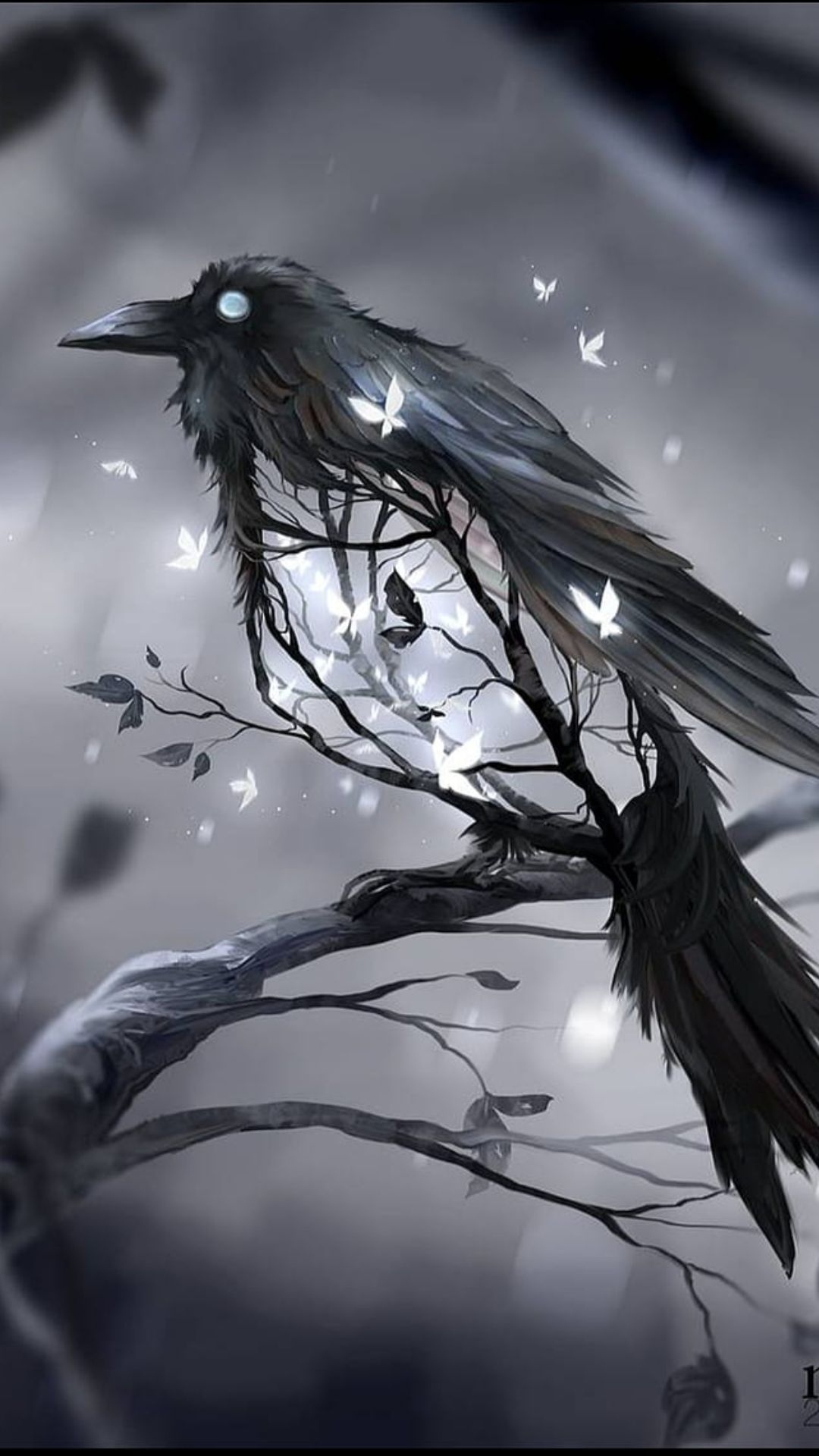 Raven HD Android Wallpaper