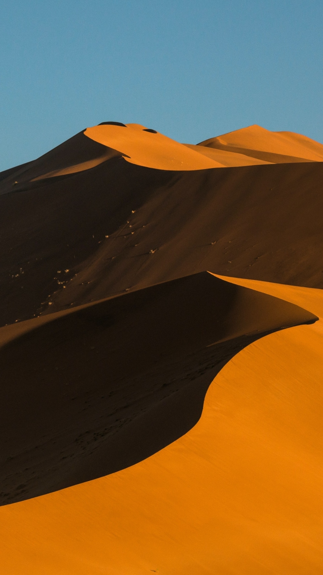 Best Namib Desert Wallpaper