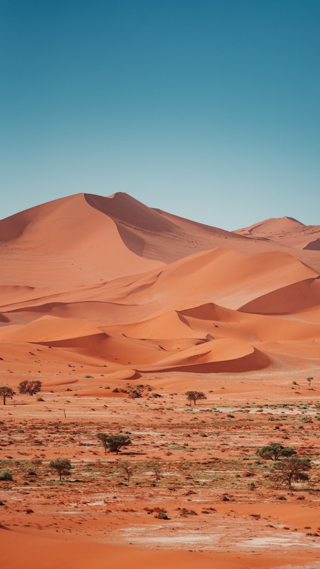 Dope Namib Desert Wallpaper