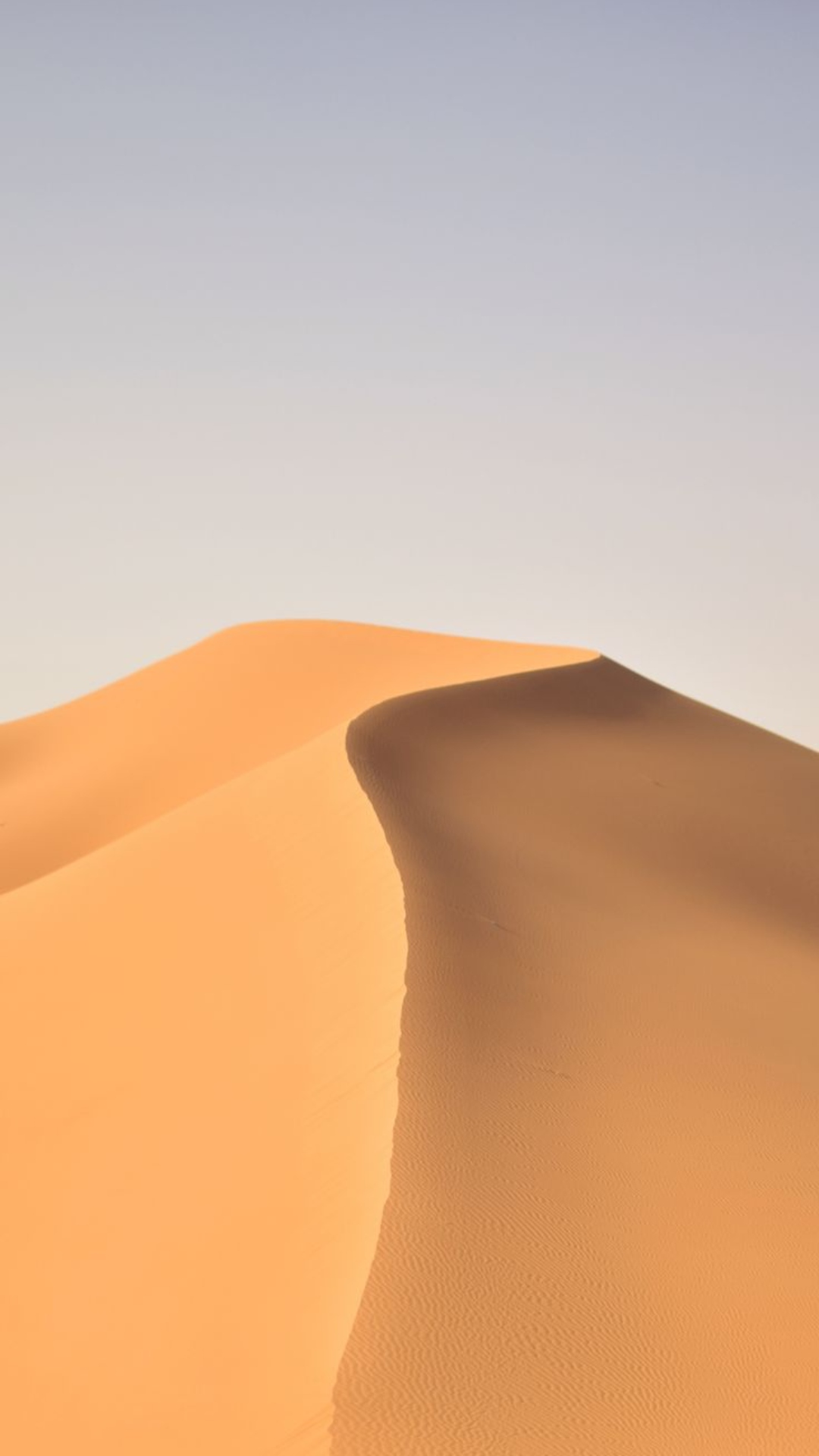 Namib Desert Images