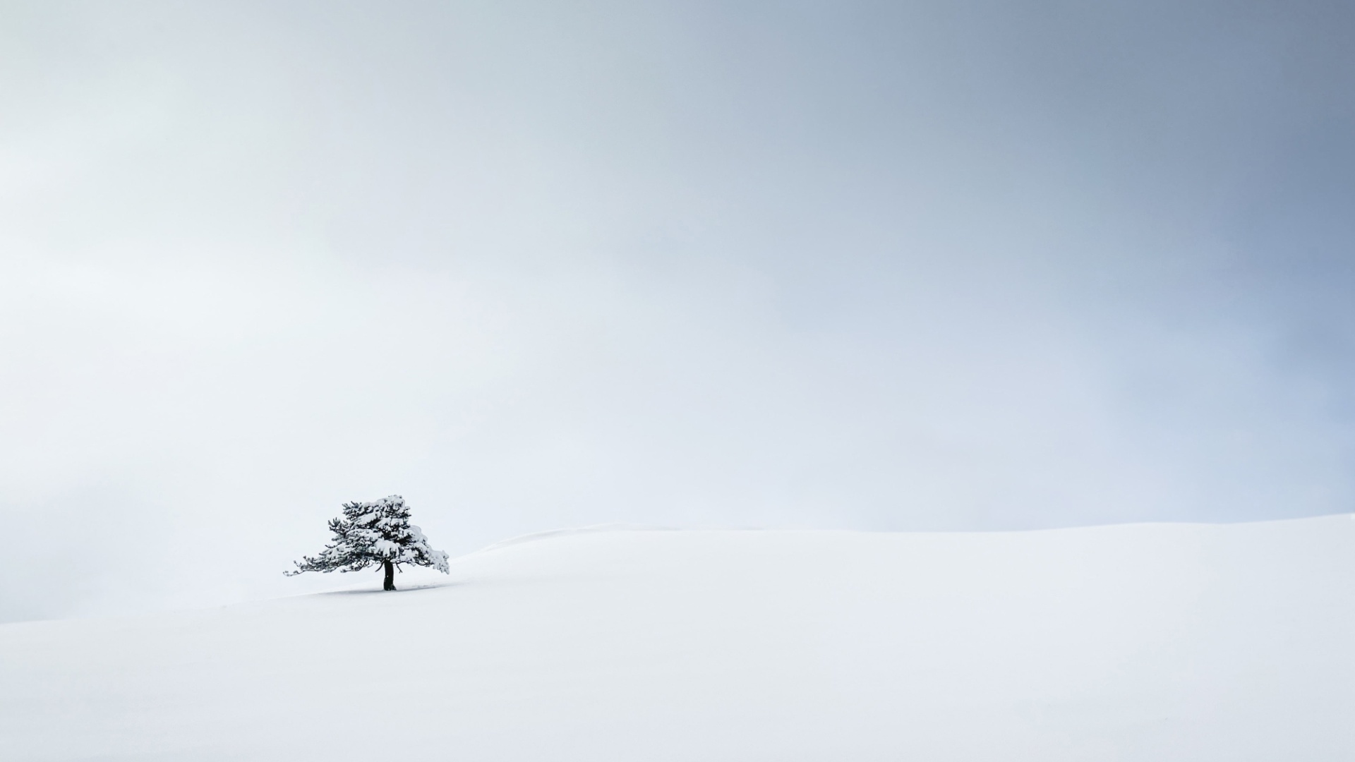 White Screen 4k Wallpaper For Computer