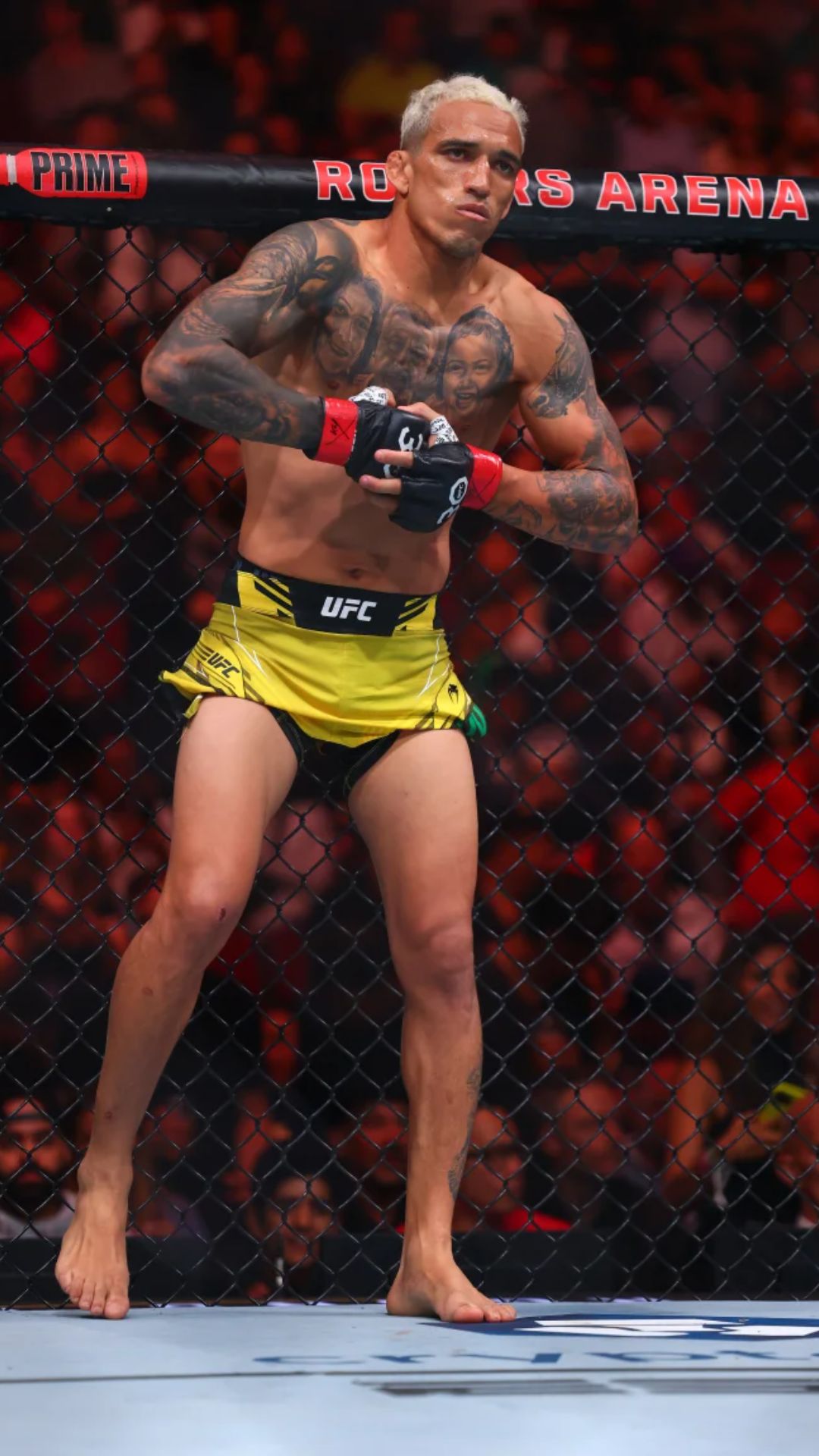 Charles Oliveira Pictures
