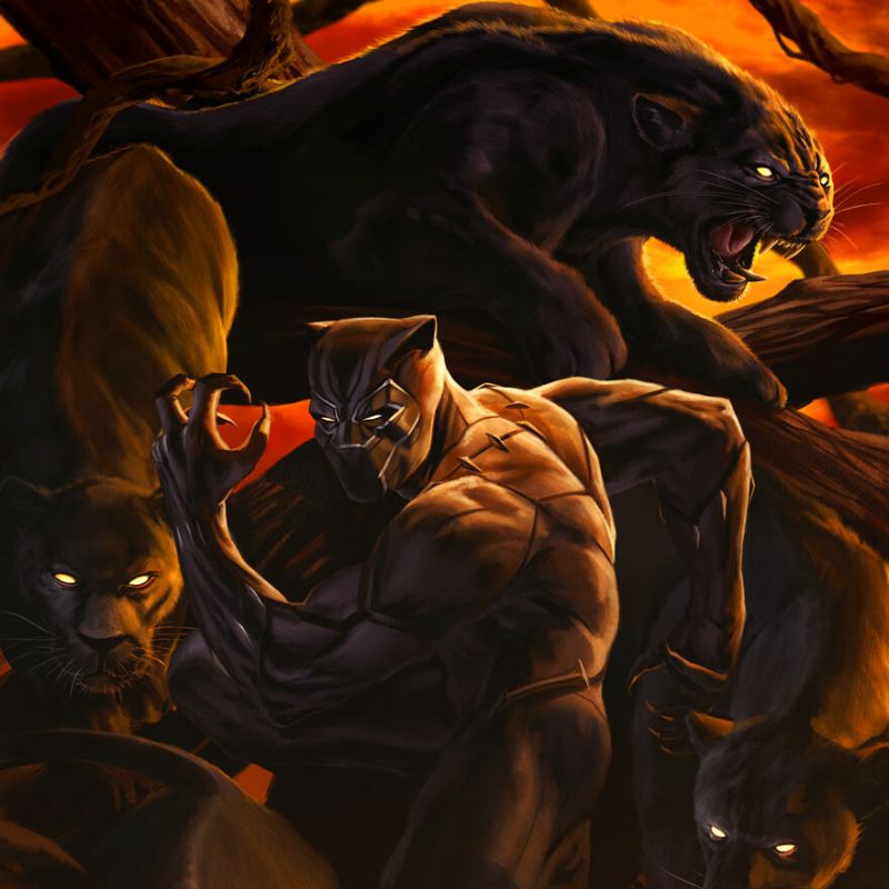 Pfp Black Panther