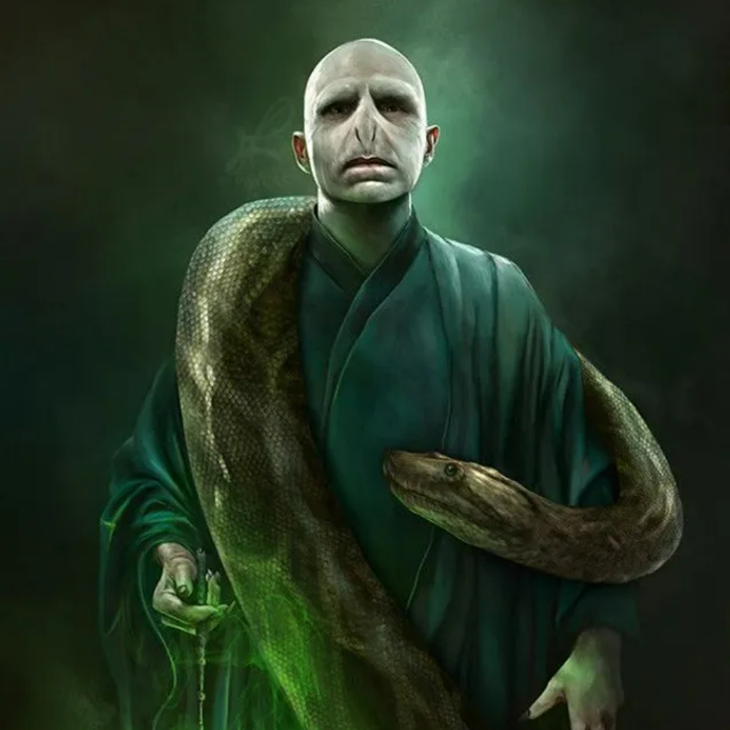 Lord Voldemort Profile Pic