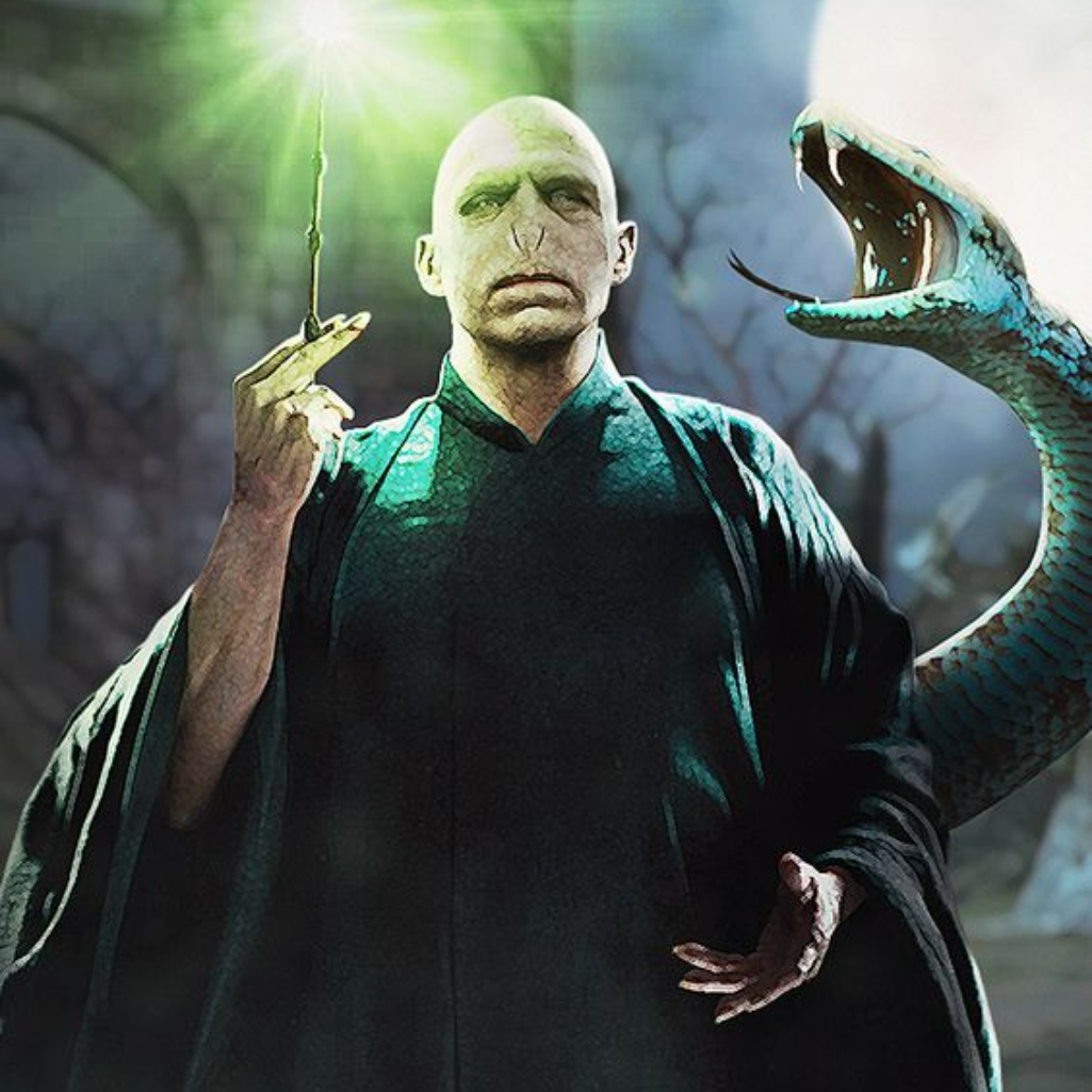 Lord Voldemort Profile Picture