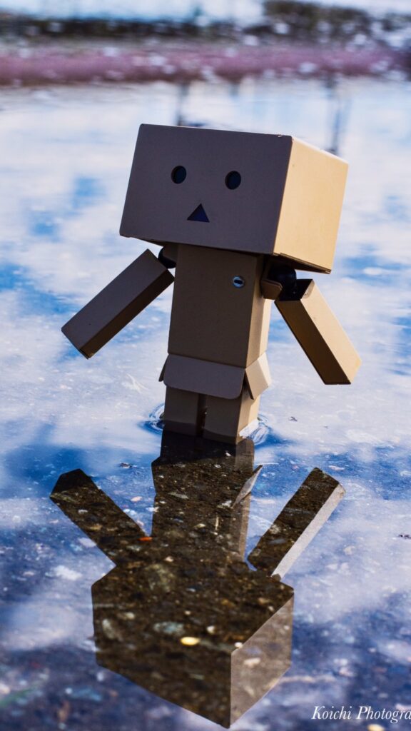 Best Danbo Wallpaper