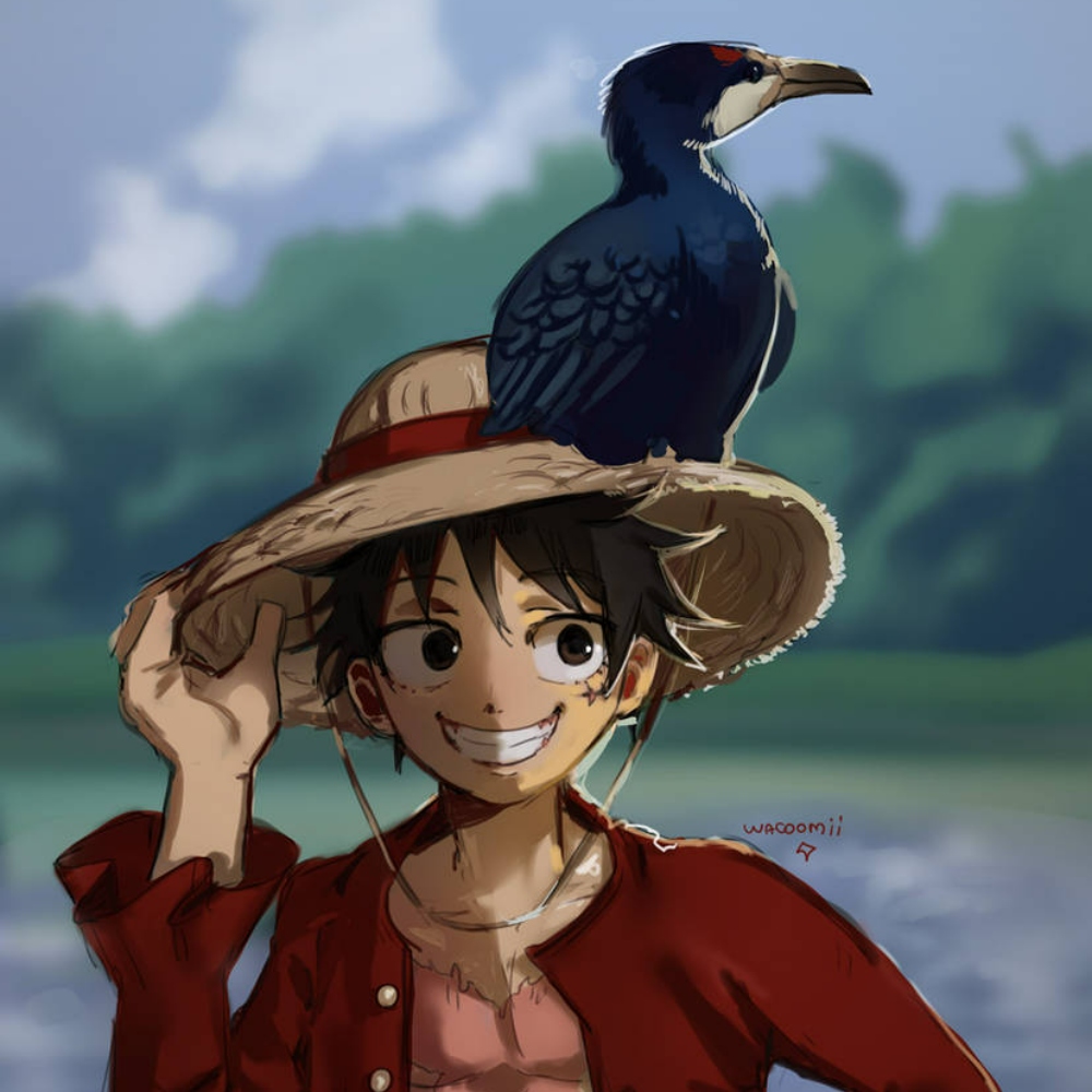 Cartoon One Piece Profile Photo