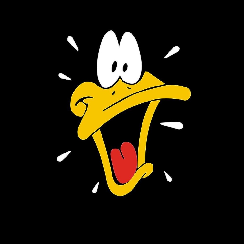 Pfp Daffy Duck Profile Picture