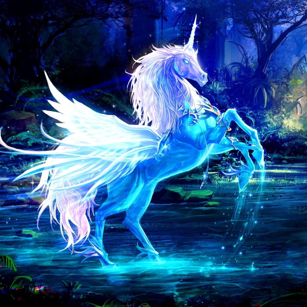 Unicorn Profile Photo