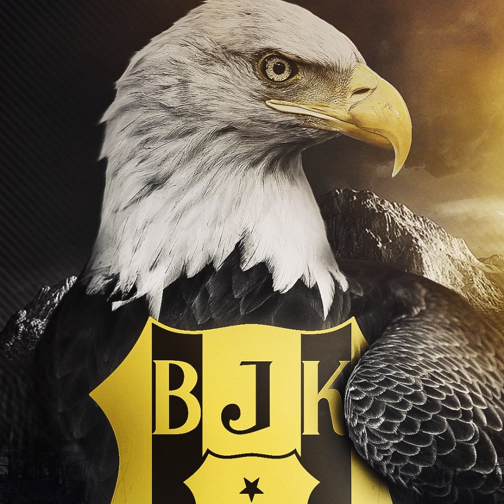 Beşiktaş J.K Profile Picture