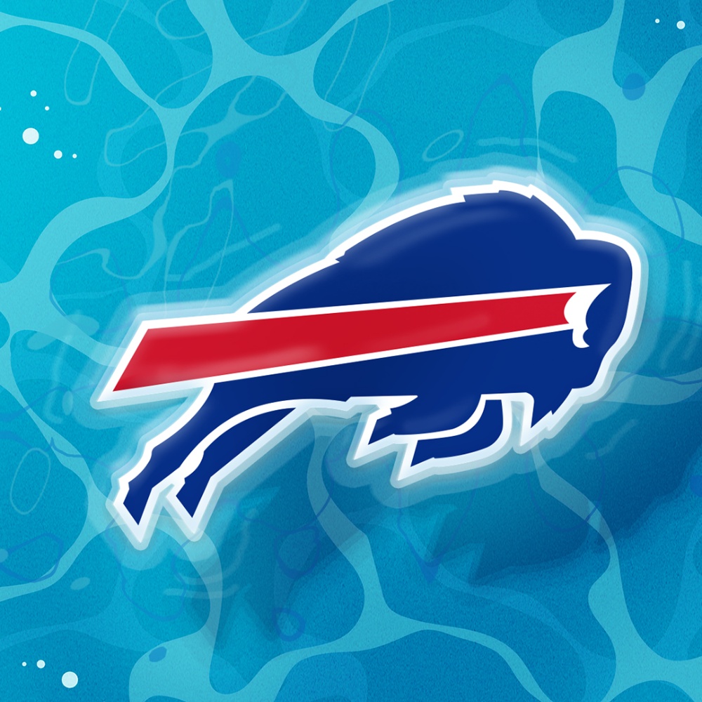 Buffalo Bills Pfp Profile