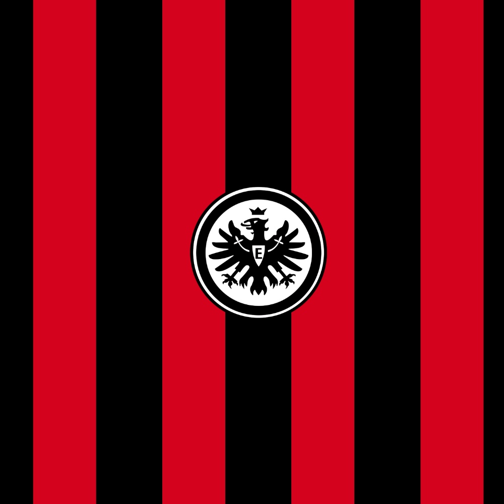 Eintracht Frankfurt Pfp for instagram