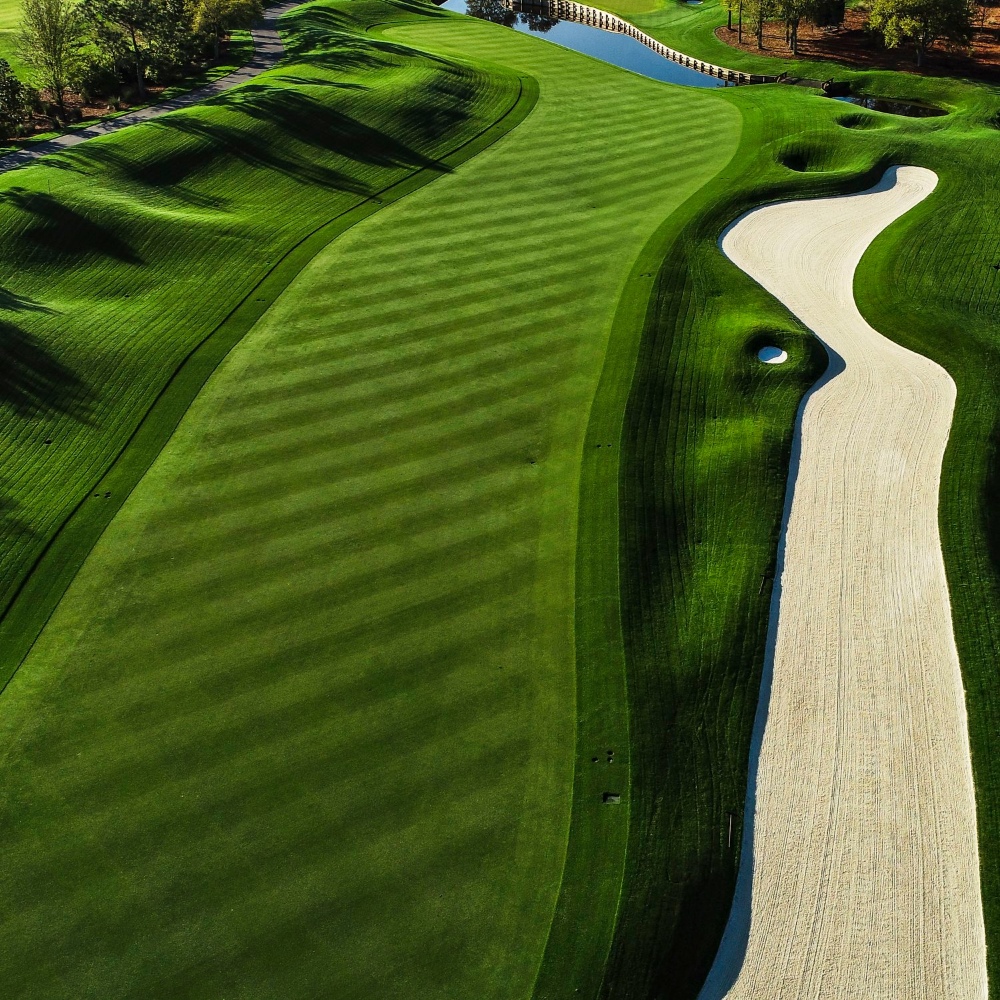 Golf Course Profile Picture