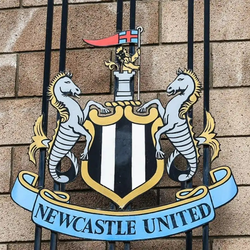 Newcastle United FC Pfp for twitter