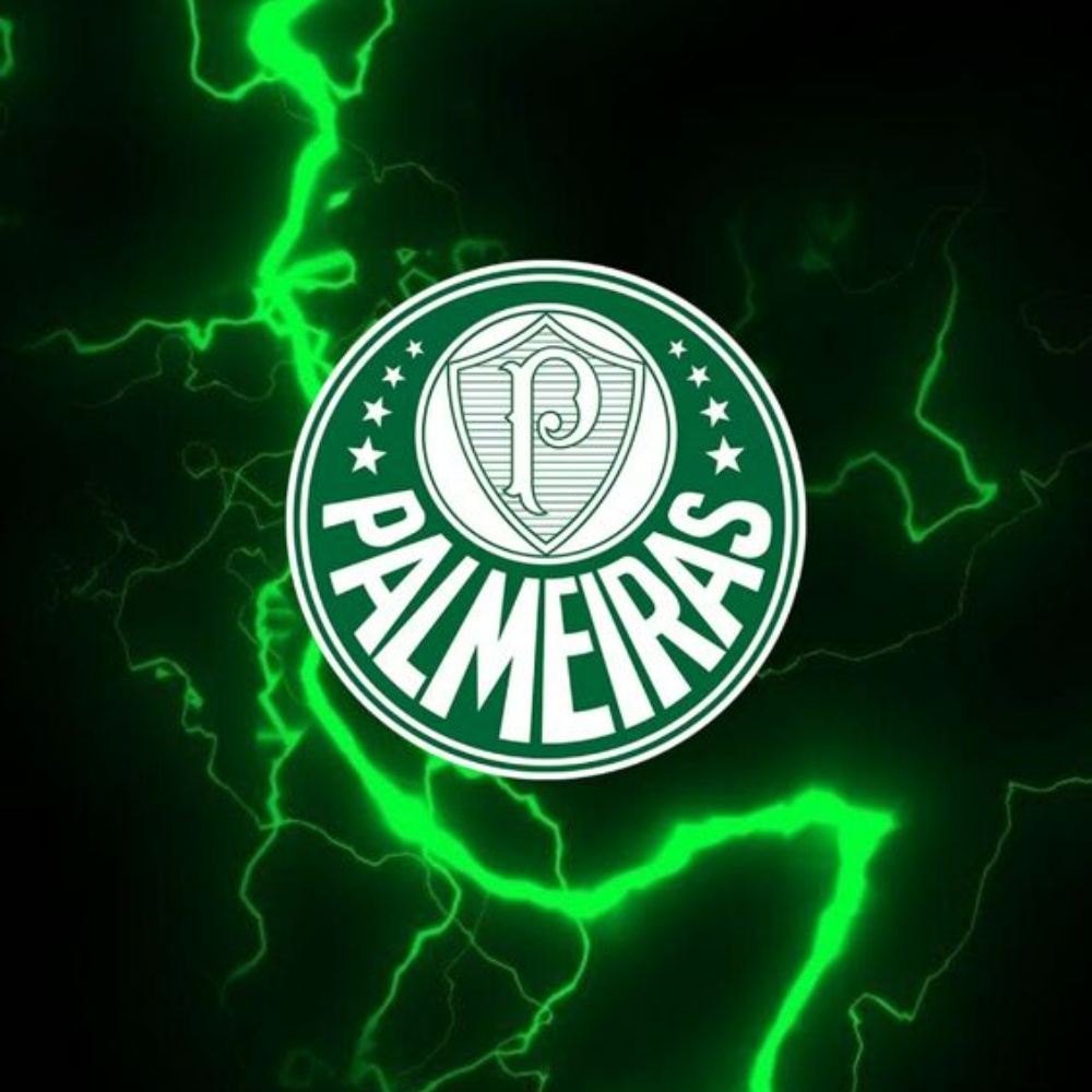 Palmeiras Pfp for discord