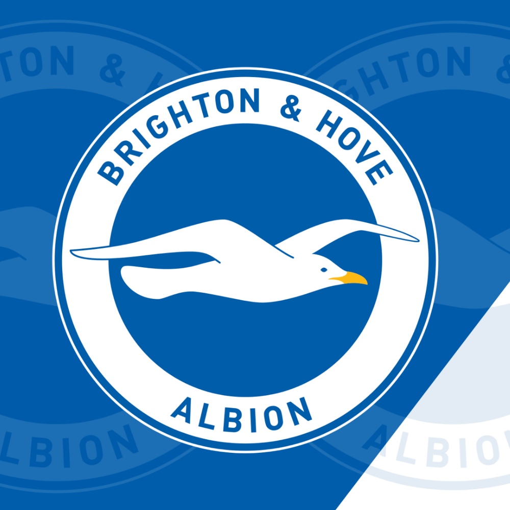 Pfp Brighton FC