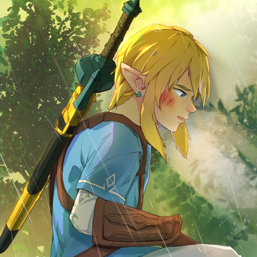 The Legend of Zelda Tears of the Kingdom Dp
