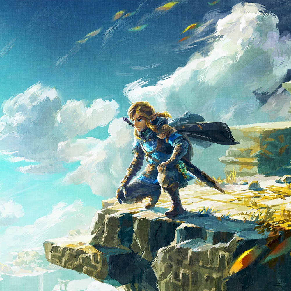 The Legend of Zelda Tears of the Kingdom pfp