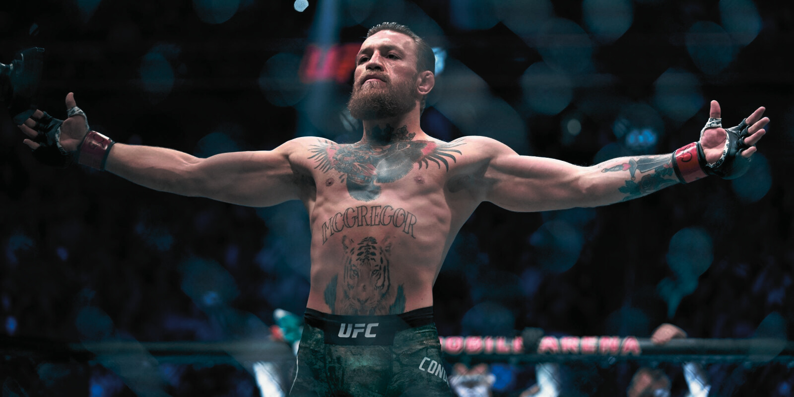 Top 20 Best Conor McGregor Wallpapers For Desktop, PC, Laptop, Computer [  4k, HD ]