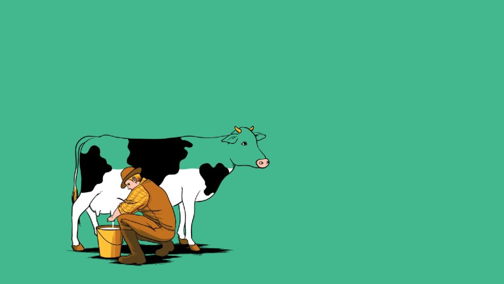 PC Wallpaper Cow