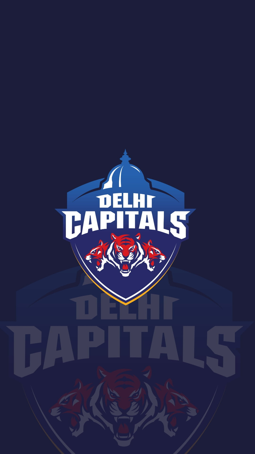 Delhi Capitals Wallpaper