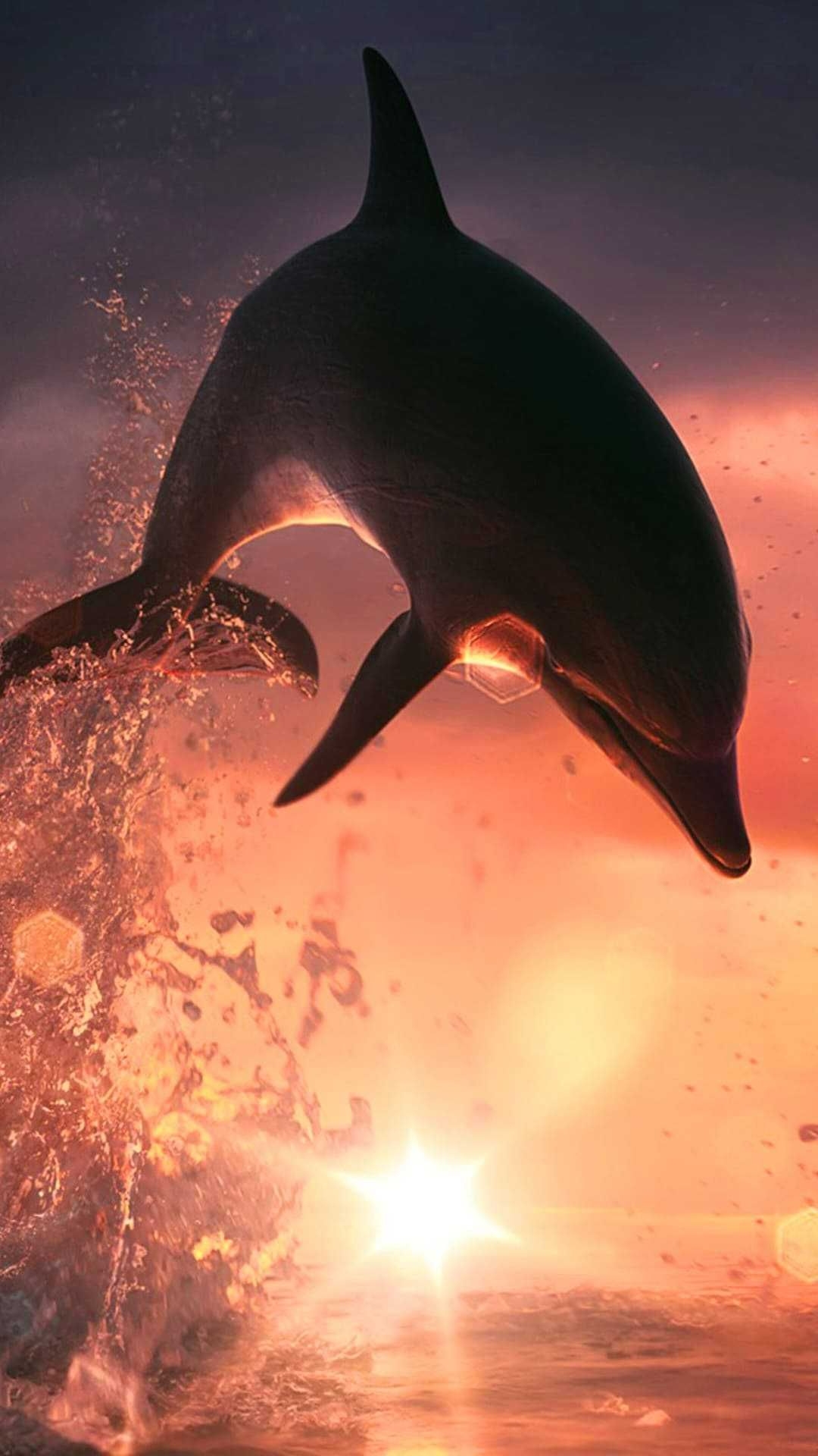 4k Dolphin Wallpaper For Mobile