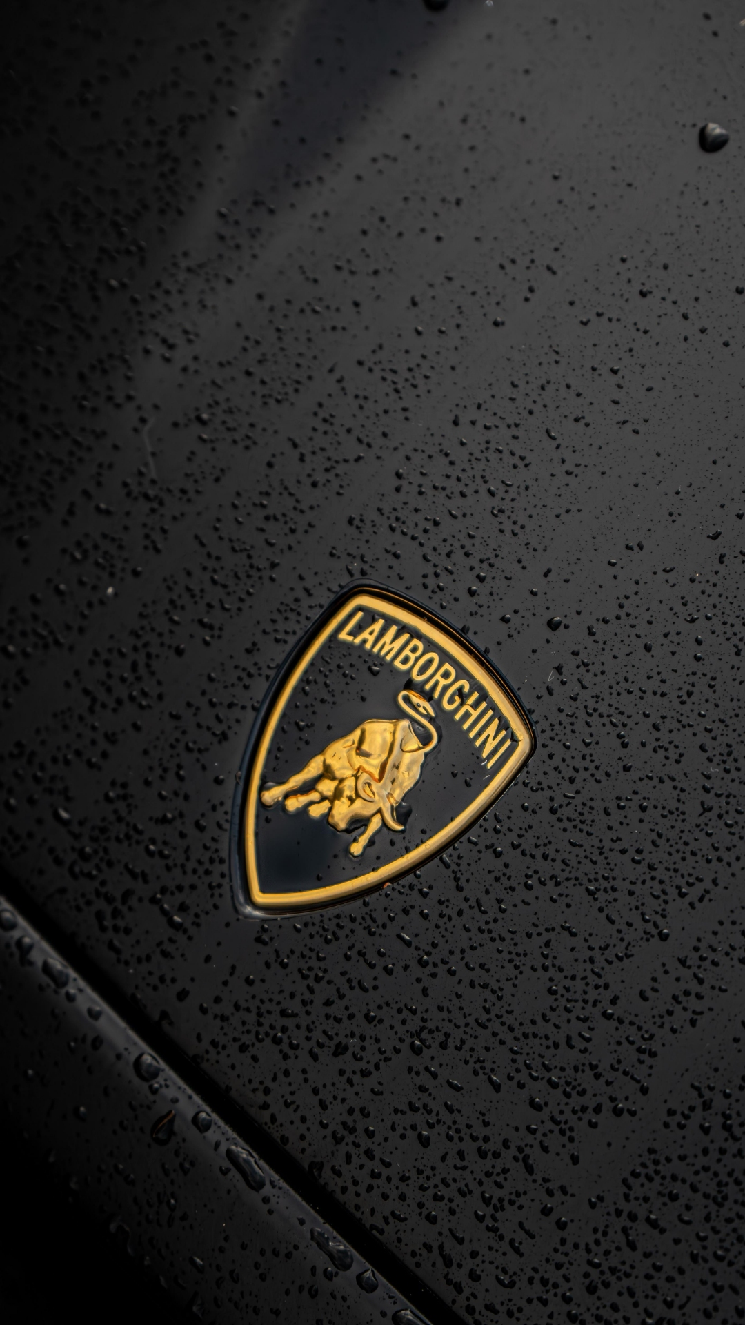 4k Lamborghini Logo Wallpaper For Phone