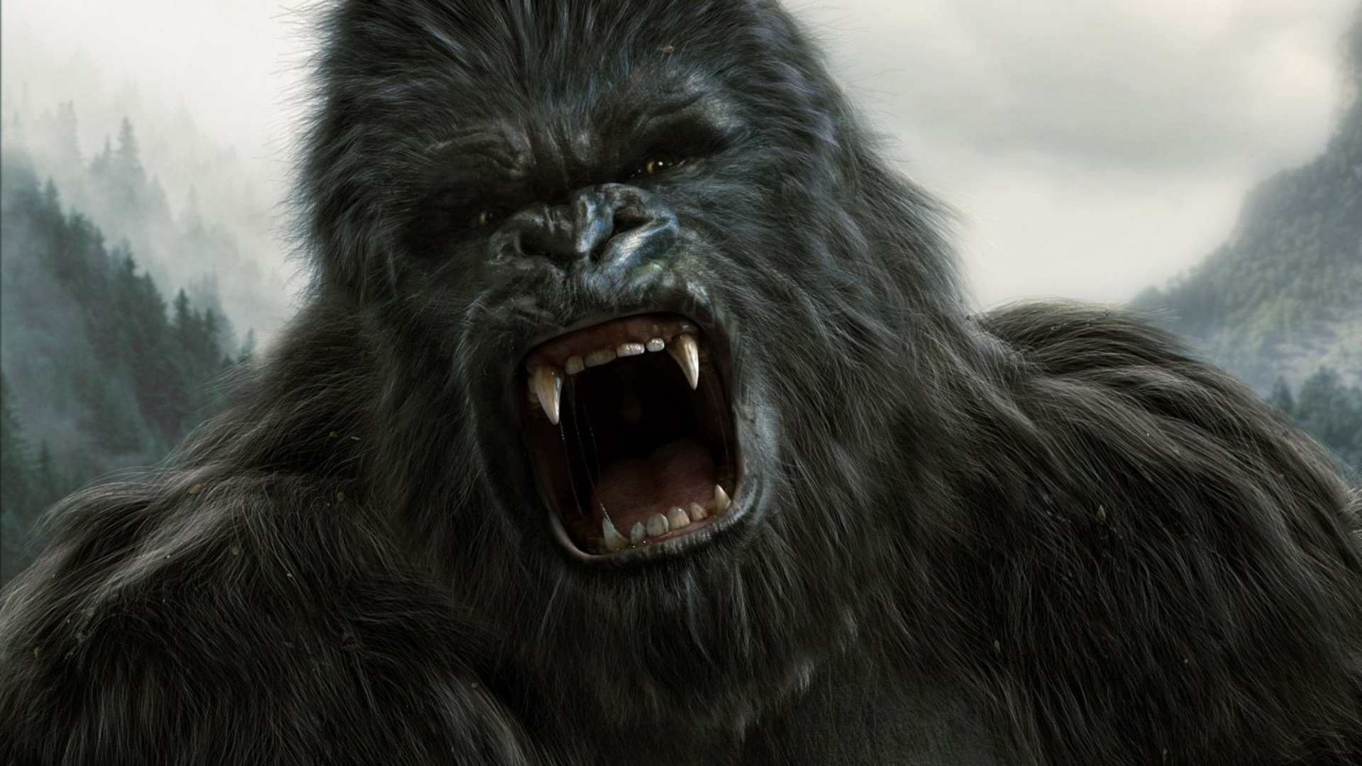 Computer Wallpaper 4k Gorilla