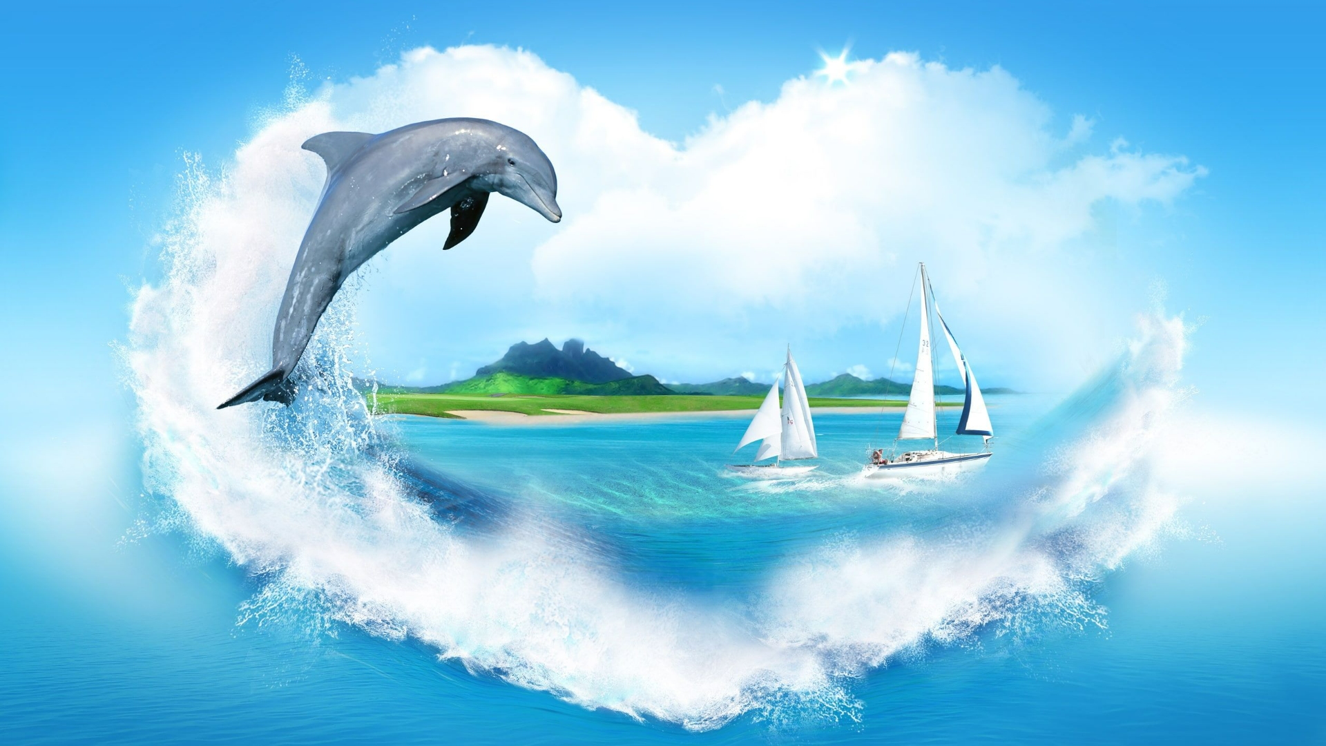 Dolphin Laptop Wallpaper 4k