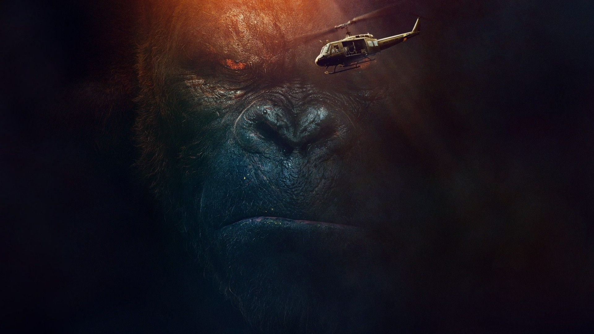 Gorilla Wallpaper 4k