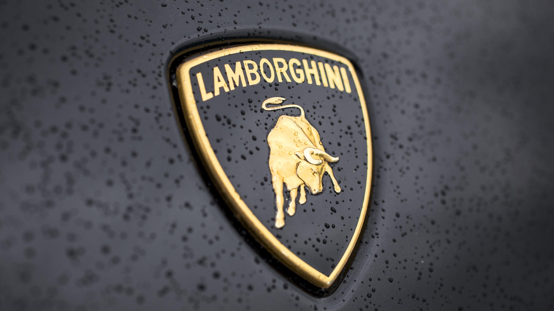 Lamborghini Logo Wallpaper 4k For Computer