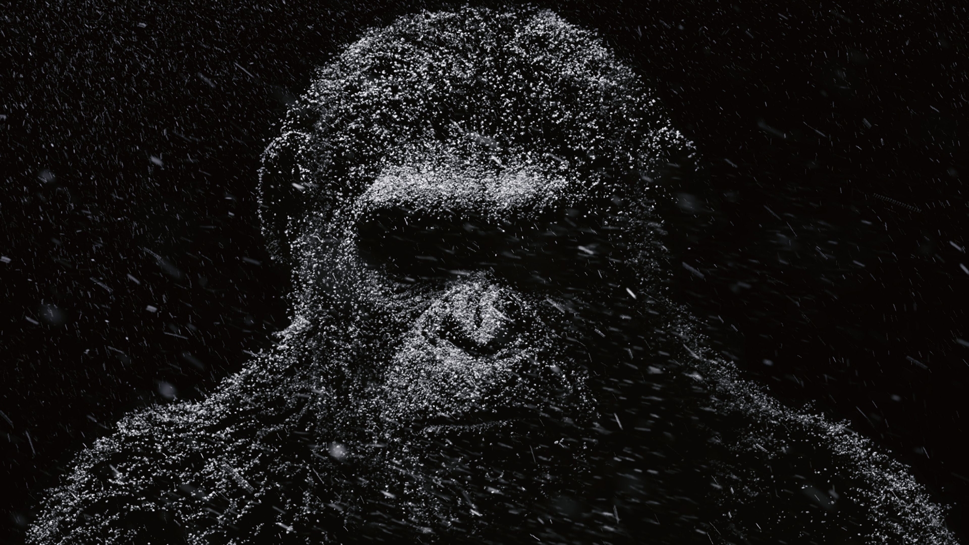 Laptop Wallpaper 4k Gorilla