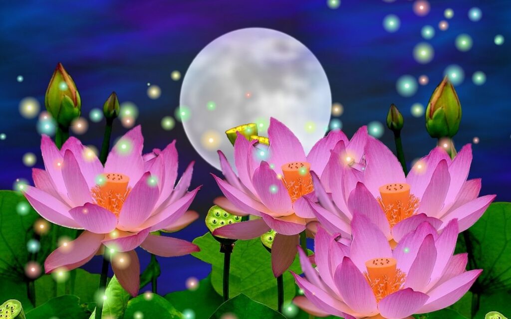 fondos de pantalla flores computadora