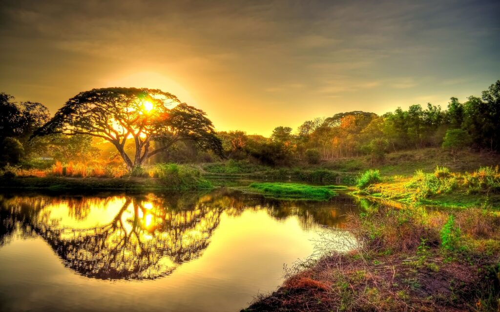 fondos de pantalla naturaleza 4k