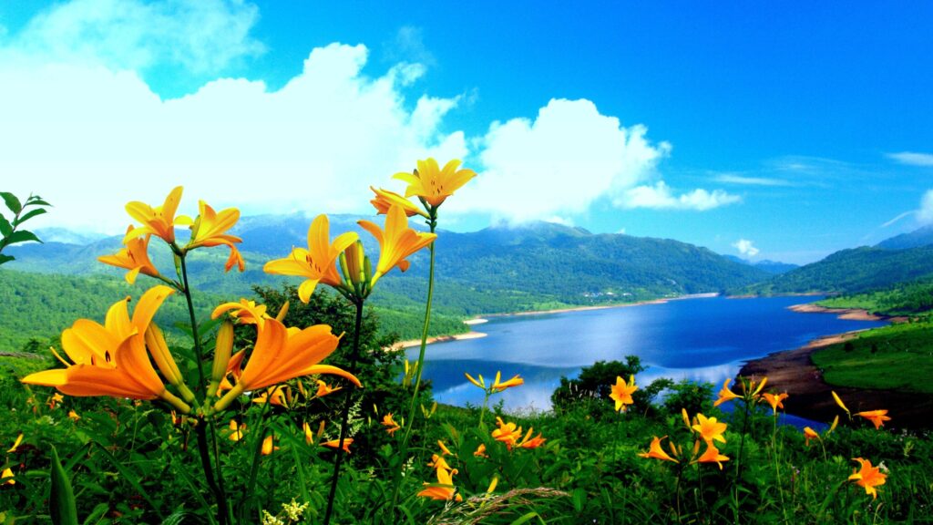 fondos de pantalla naturaleza pc