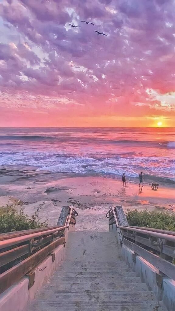 fondos de pantalla playa phone