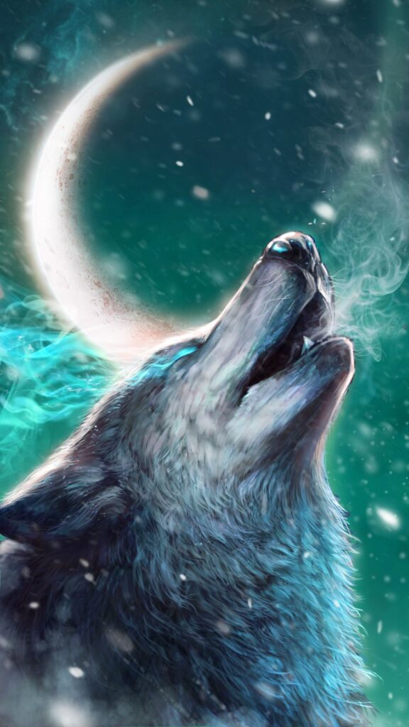 fonds d’écran loup hd